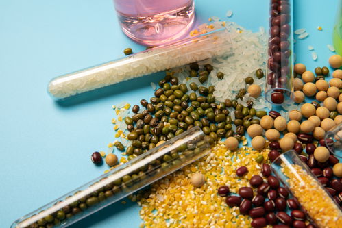 五谷食品安全農(nóng)業(yè)科技食品培育攝影圖 插畫(huà) 下載至來(lái)源處