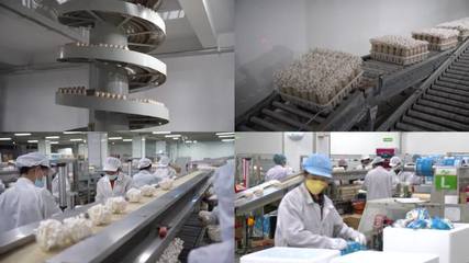食品加工廠食品加工廠