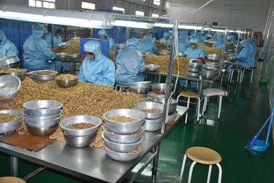 4個(gè)農(nóng)村冷門創(chuàng)業(yè)致富項(xiàng)目,每一個(gè)都隱藏大商機(jī)!做的人還不多!