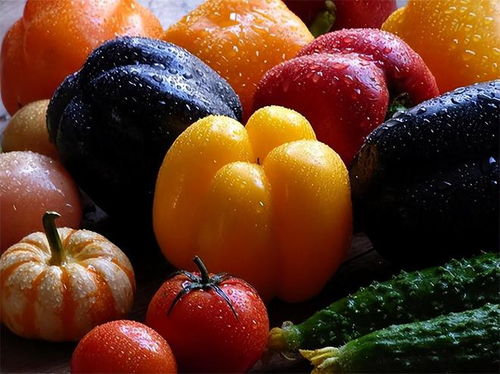 全球近70個國家禁止,只有中國吃轉基因 轉基因食品到底有害嗎